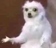 DƬ